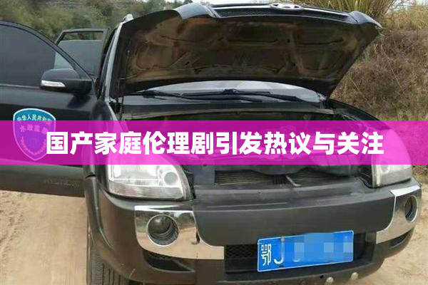 国产家庭伦理剧引发热议与关注