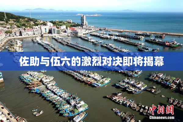 佐助与伍六的激烈对决即将揭幕