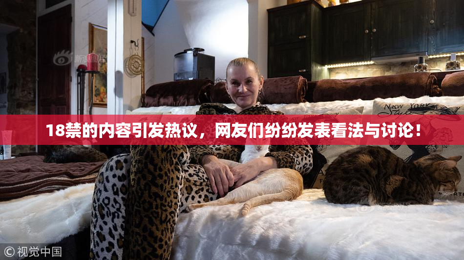 18禁的内容引发热议，网友们纷纷发表看法与讨论！