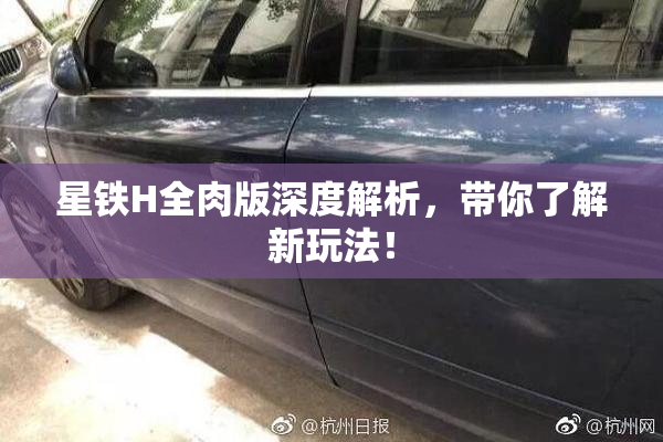 星铁H全肉版深度解析，带你了解新玩法！