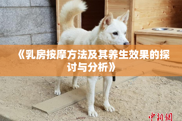 《乳房按摩方法及其养生效果的探讨与分析》