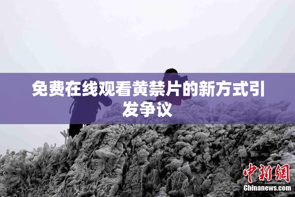 免费在线观看黄禁片的新方式引发争议