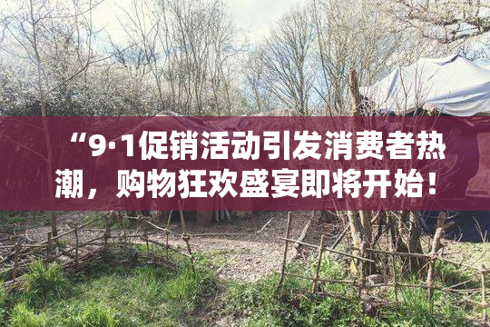“9·1促销活动引发消费者热潮，购物狂欢盛宴即将开始！”