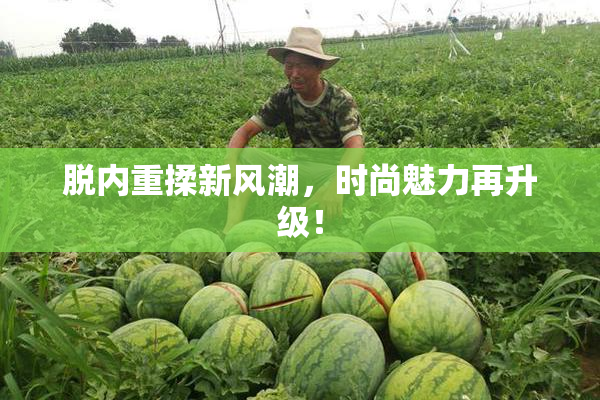 脱内重揉新风潮，时尚魅力再升级！
