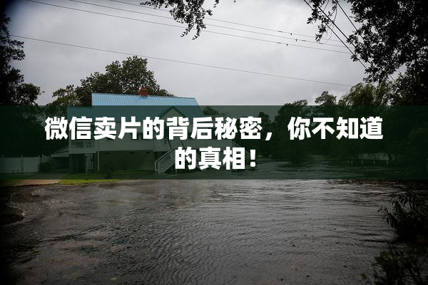 微信卖片的背后秘密，你不知道的真相！