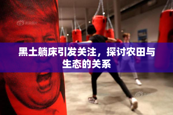 黑土躺床引发关注，探讨农田与生态的关系