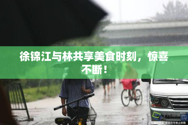 徐锦江与林共享美食时刻，惊喜不断！