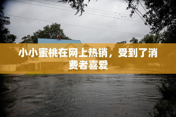 小小蜜桃在网上热销，受到了消费者喜爱