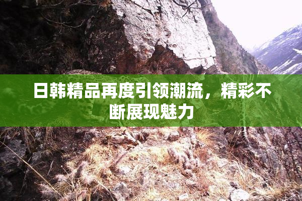 日韩精品再度引领潮流，精彩不断展现魅力