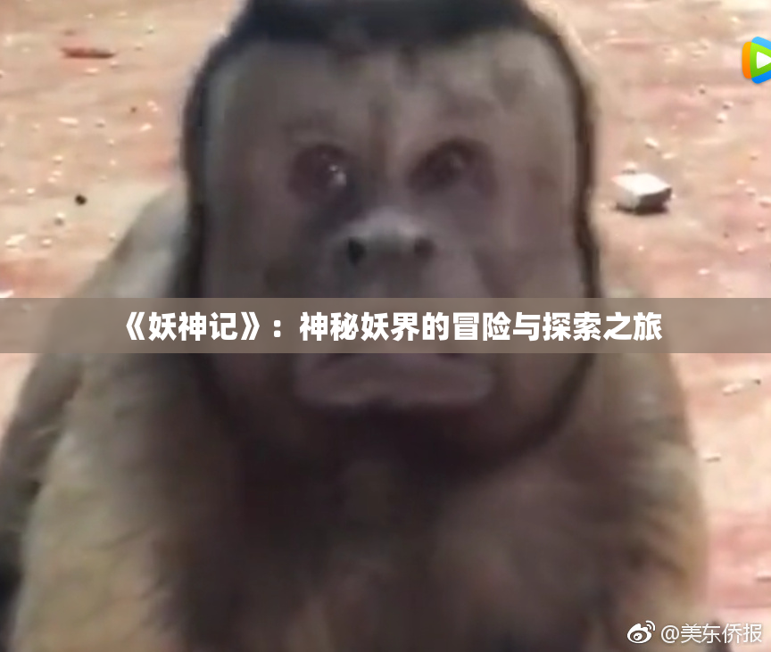 《妖神记》：神秘妖界的冒险与探索之旅