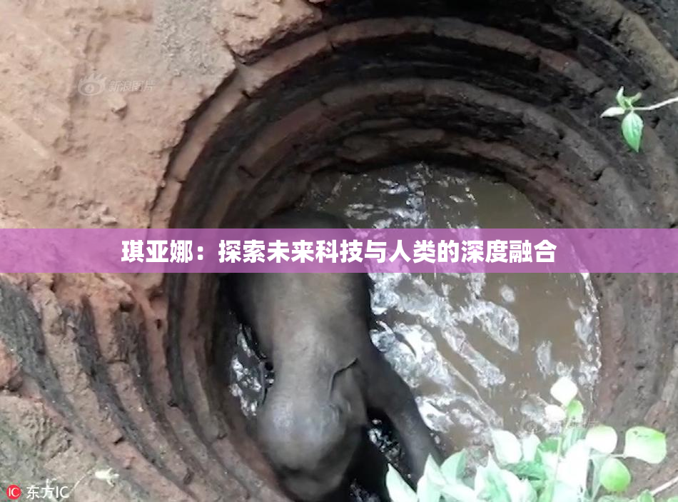 琪亚娜：探索未来科技与人类的深度融合