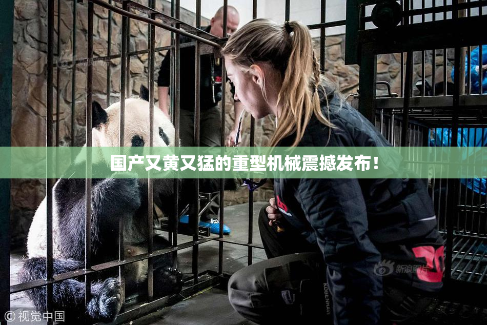 国产又黄又猛的重型机械震撼发布！