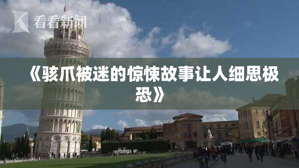 《骇爪被迷的惊悚故事让人细思极恐》