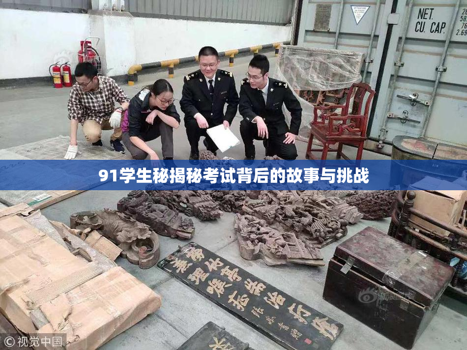 91学生秘揭秘考试背后的故事与挑战