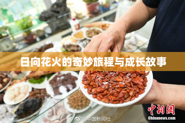 日向花火的奇妙旅程与成长故事
