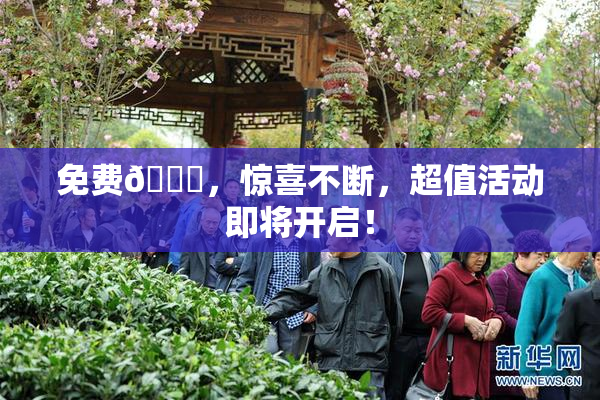 免费🔞，惊喜不断，超值活动即将开启！