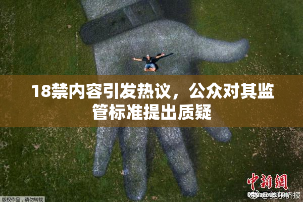 18禁内容引发热议，公众对其监管标准提出质疑