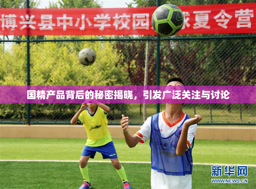 国精产品背后的秘密揭晓，引发广泛关注与讨论