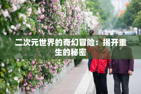 二次元世界的奇幻冒险：揭开重生的秘密
