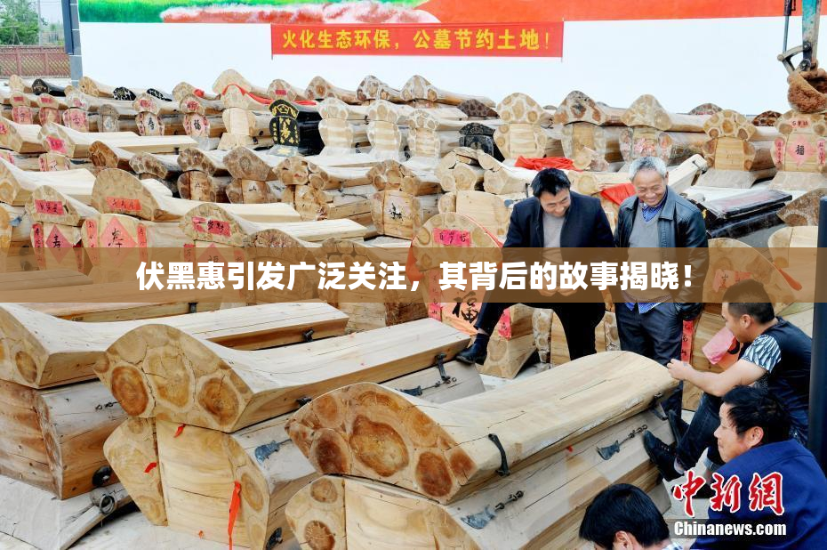 伏黑惠引发广泛关注，其背后的故事揭晓！