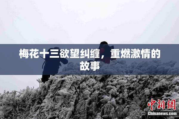 梅花十三欲望纠缠，重燃激情的故事