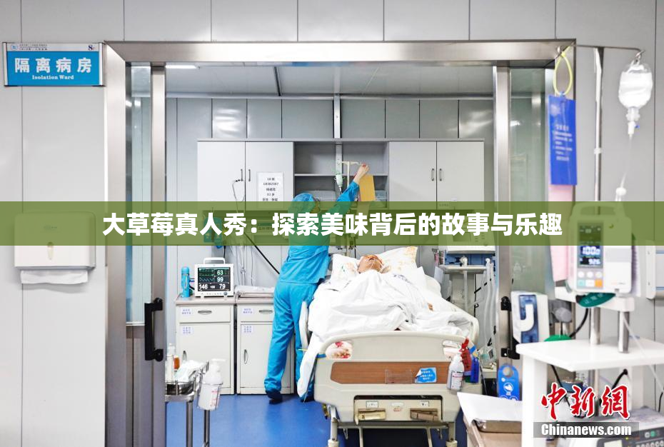 大草莓真人秀：探索美味背后的故事与乐趣