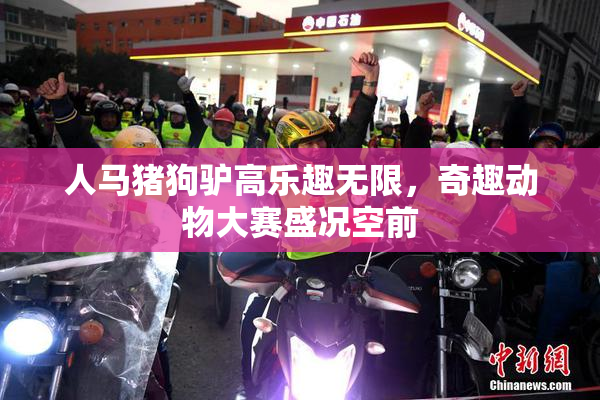 人马猪狗驴高乐趣无限，奇趣动物大赛盛况空前