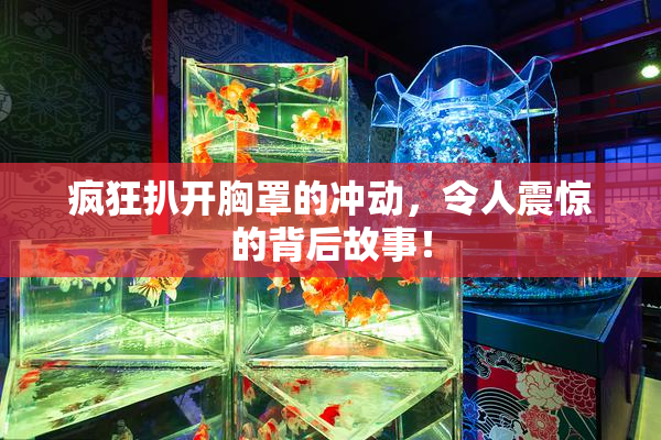 疯狂扒开胸罩的冲动，令人震惊的背后故事！