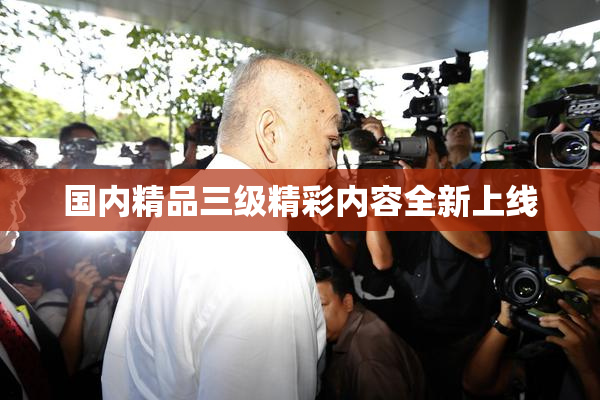 国内精品三级精彩内容全新上线