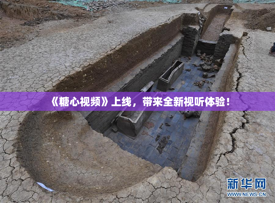 《糖心视频》上线，带来全新视听体验！