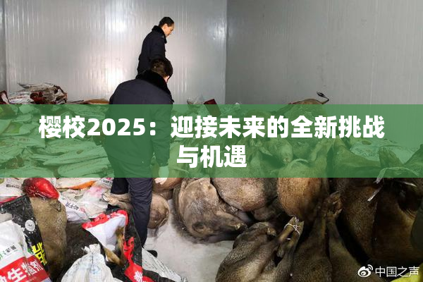 樱校2025：迎接未来的全新挑战与机遇