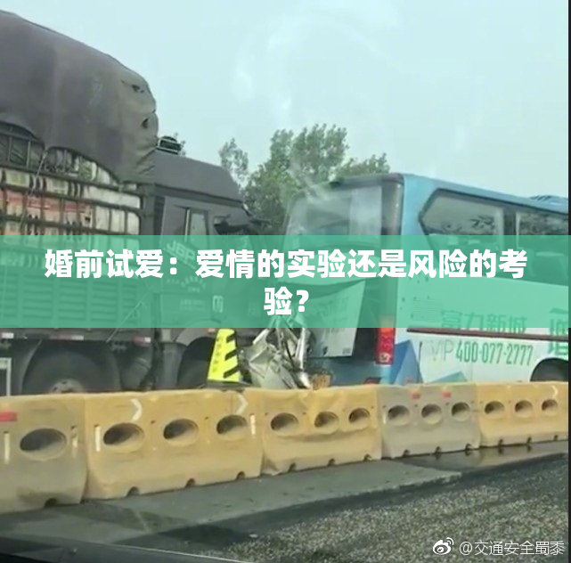 婚前试爱：爱情的实验还是风险的考验？