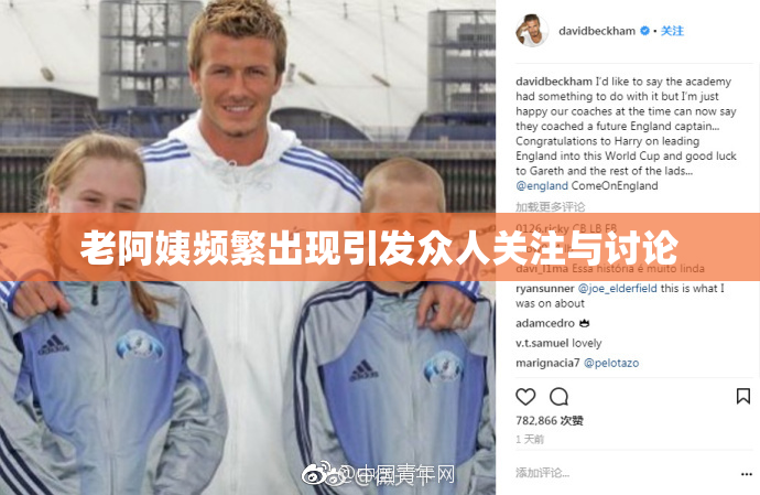 老阿姨频繁出现引发众人关注与讨论