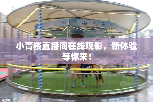 小青楼直播间在线观影，新体验等你来！