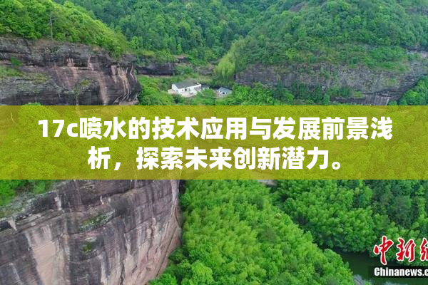 17c喷水的技术应用与发展前景浅析，探索未来创新潜力。