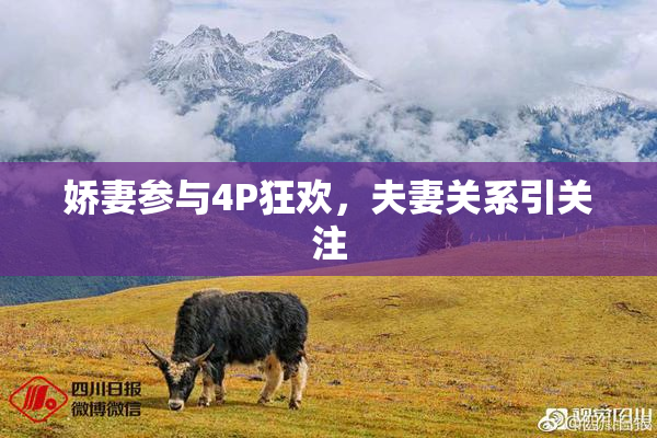 娇妻参与4P狂欢，夫妻关系引关注