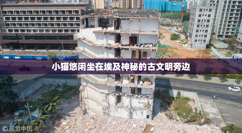 小猫悠闲坐在埃及神秘的古文明旁边