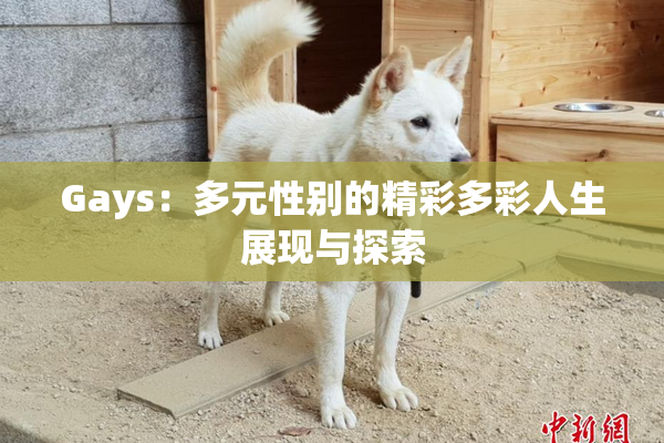 Gays：多元性别的精彩多彩人生展现与探索