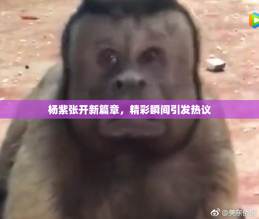 杨紫张开新篇章，精彩瞬间引发热议