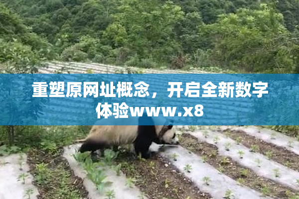 重塑原网址概念，开启全新数字体验www.x8