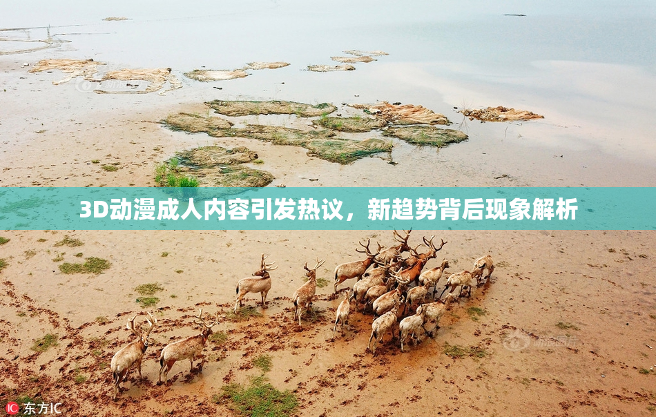 3D动漫成人内容引发热议，新趋势背后现象解析