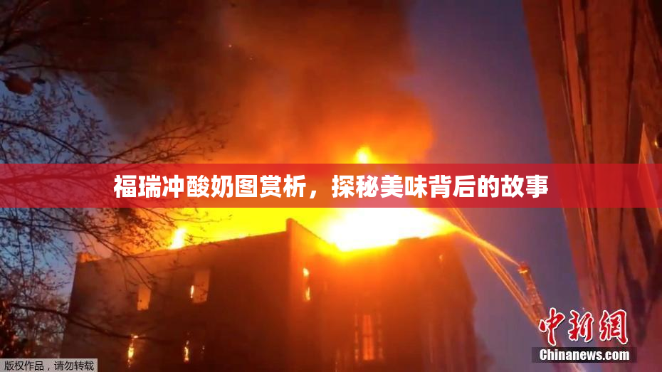 福瑞冲酸奶图赏析，探秘美味背后的故事