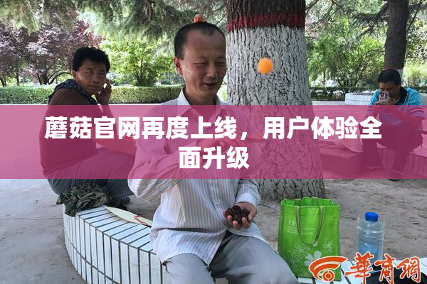 蘑菇官网再度上线，用户体验全面升级