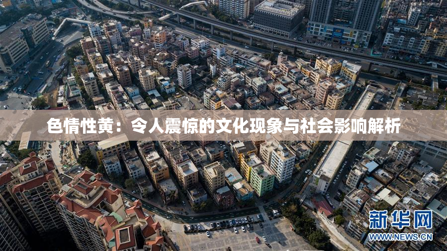 色情性黄：令人震惊的文化现象与社会影响解析