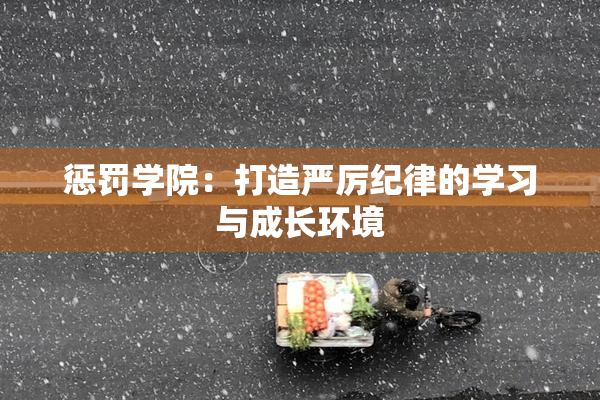 惩罚学院：打造严厉纪律的学习与成长环境