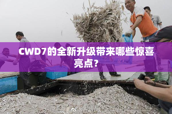 CWD7的全新升级带来哪些惊喜亮点？