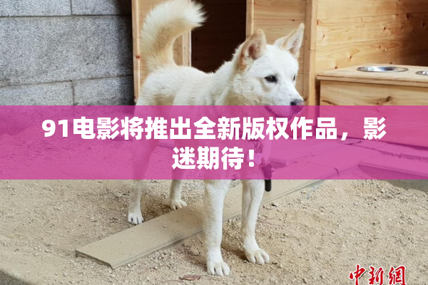 91电影将推出全新版权作品，影迷期待！