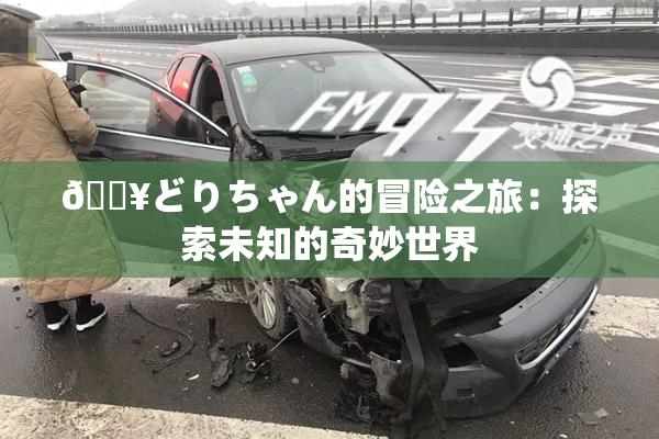 🔥どりちゃん的冒险之旅：探索未知的奇妙世界
