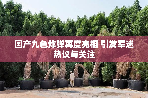 国产九色炸弹再度亮相 引发军迷热议与关注