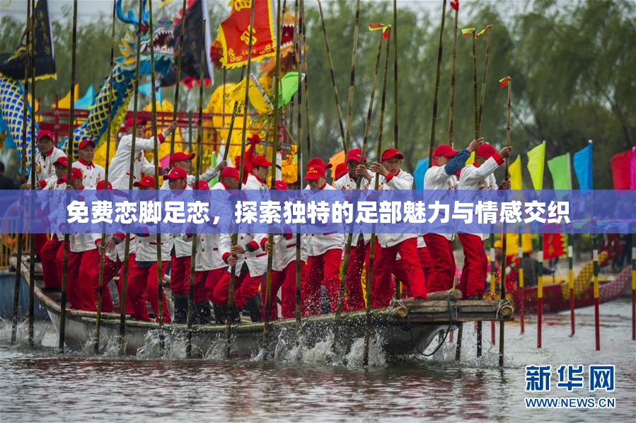 免费恋脚足恋，探索独特的足部魅力与情感交织